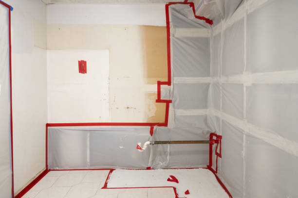 Professional Mold Removal in Irwin, SC