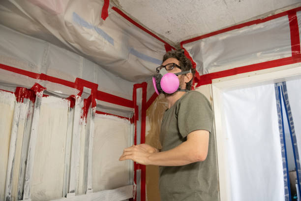 Forensic Mold Investigation in Irwin, SC