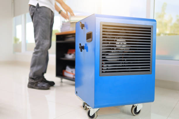 Best Forensic Mold Investigation  in Irwin, SC